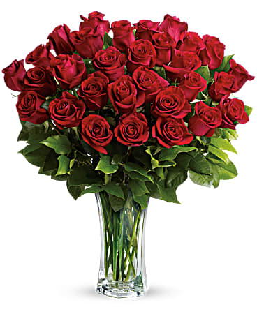 Love and Devotion Premium Long Stem Red Roses